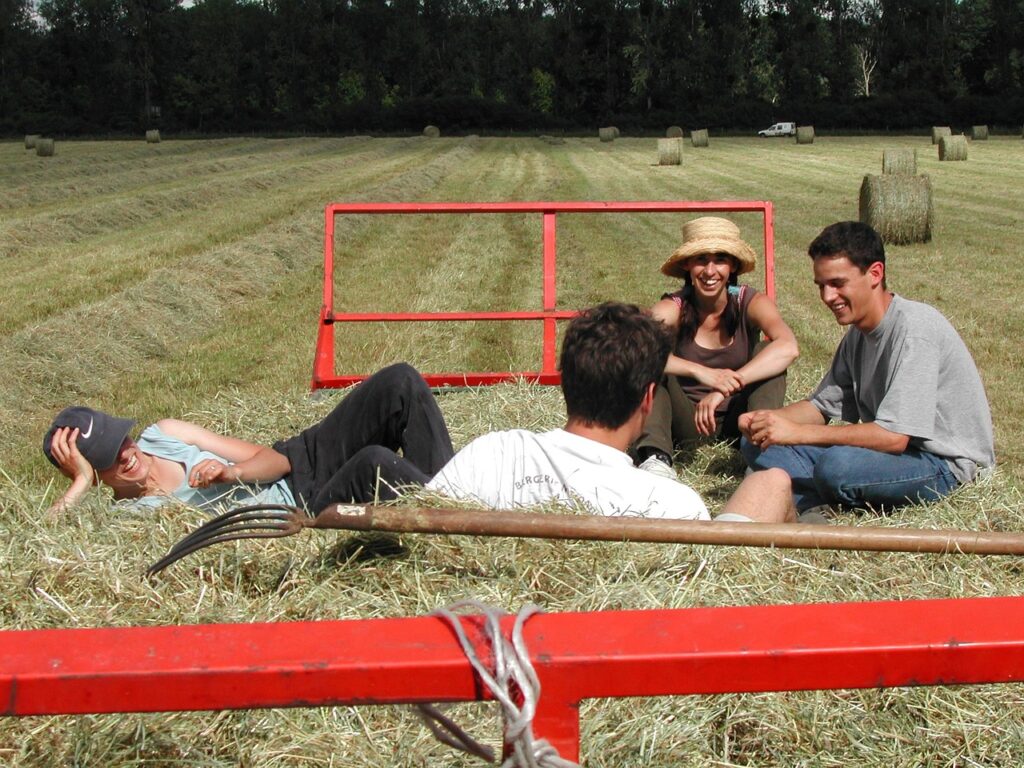 Young man and women are farming in the hay field
